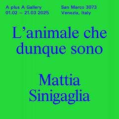 L'animale che dunque sono - mattia sinigaglia